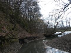 Brno Reservoir with river arm and wooded area