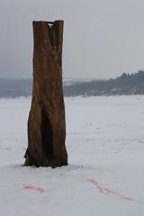 old tall stump in dried Brněnská Dam