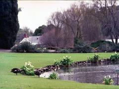 Botanical Gardens Adelaide 1976