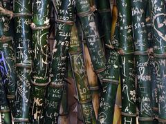 graffitied bamboo in Botanic Garden, Adelaide