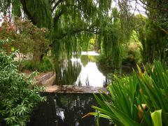 Adelaide Botanic Garden