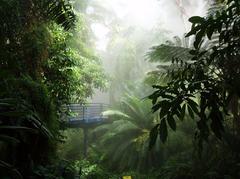 Bicentennial Conservatory in Adelaide Botanic Gardens, South Australia