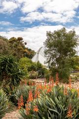 Adelaide Botanic Garden