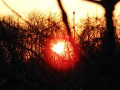 Sunset over the Euganean Hills seen from Albettone near the parish church