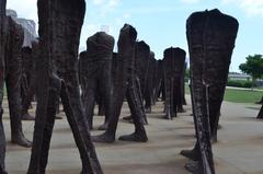 Agora sculpture in Grant Park, Chicago