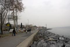 panoramic view of Istanbul, Turkey