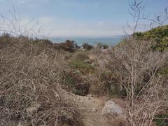 Albany Bulb shoreline view