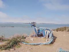 view of Albany Bulb with sculptures, greenery, and pathway