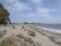 Albany Beach