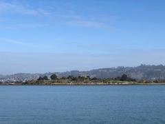 Albany Bulb in San Francisco Bay