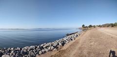 Albany Bulb in the morning