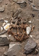 Ancient ropes used to tie walls at Huaca El Paraíso