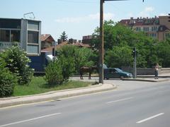 Bulevard Botevgradsko shose panoramic view