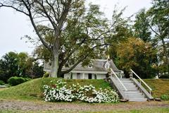 Alice Austen House nestled among trees with a well-manicured lawn