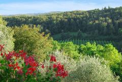 View from agriturismo Le Vescovane in Longare, Vicenza, Veneto, Italy