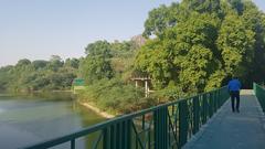 bridge over Zoo Lake