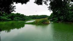 Zoo lake view from entrance gate