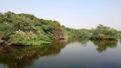 Kanpur Zoo lake view