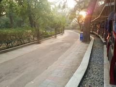 toy train at Kanpur Zoo