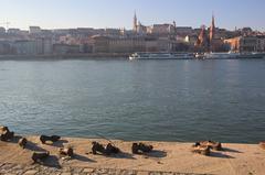 Shoes on the Danube Promenade in Budapest