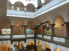 Pteranodon skeleton on display in the Palaeontology Museum in Munich