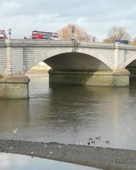 Canada Geese by Putney Bridge