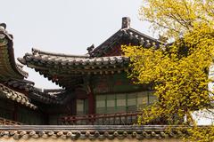 Changdeokgung Palace panoramic view