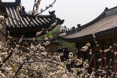 Changdeokgung Palace panoramic view