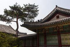 Changdeokgung Palace panoramic view