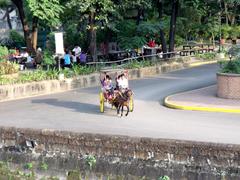 Carriage Fort Santiago in Intramuros, Manila, Philippines