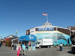 Panoramic view of Pier 39 with shops, restaurants, and crowds of people on a sunny day