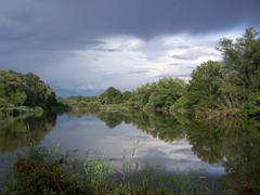 Enkheimer Ried in Frankfurt am Main