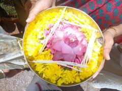 Templo Aranmula Parthasarathy