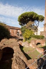 Garden of the Torre delle Milizie in Rome