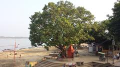 Tree at Assi Ghat in Varanasi, India