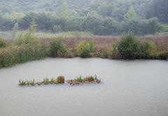 Downpour at Ataria in Basque Country, Spain