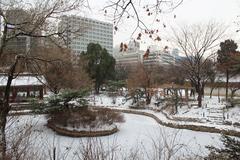 Deoksugung Palace in winter