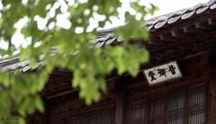 Seoul Deoksugung Palace after April showers