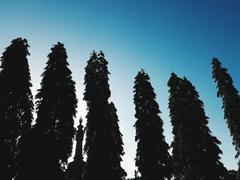 Silhouette of Bajra Sandhi Monument among trees