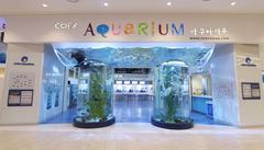 COEX Aquarium check-in area front view