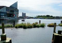 Manmade wetlands for water fowl at WTC