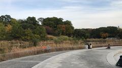 Olympic Park in Autumn with Reeds