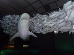 Interior of Hydropolis Ecological Education Center