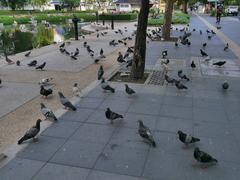 Scenic view of Benjasiri Park with a serene pond surrounded by lush greenery