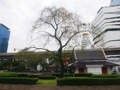 Banjasiri Park in Thailand with lush greenery and a pond