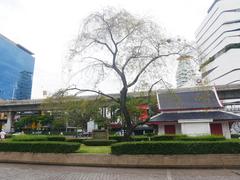 Banjasiri Park in Bangkok with urban skyline in the background