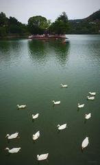 Bhimtal Lake surrounded by lush greenery and mountains