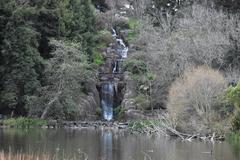 Stow Lake