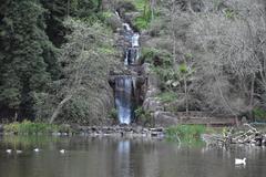 Stow Lake with lush greenery and reflections in the water