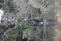 Stow Lake in Golden Gate Park